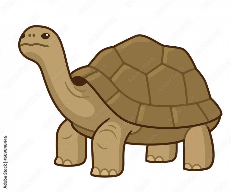 Galapagos giant tortoise cartoon drawing Stock-Vektorgrafik