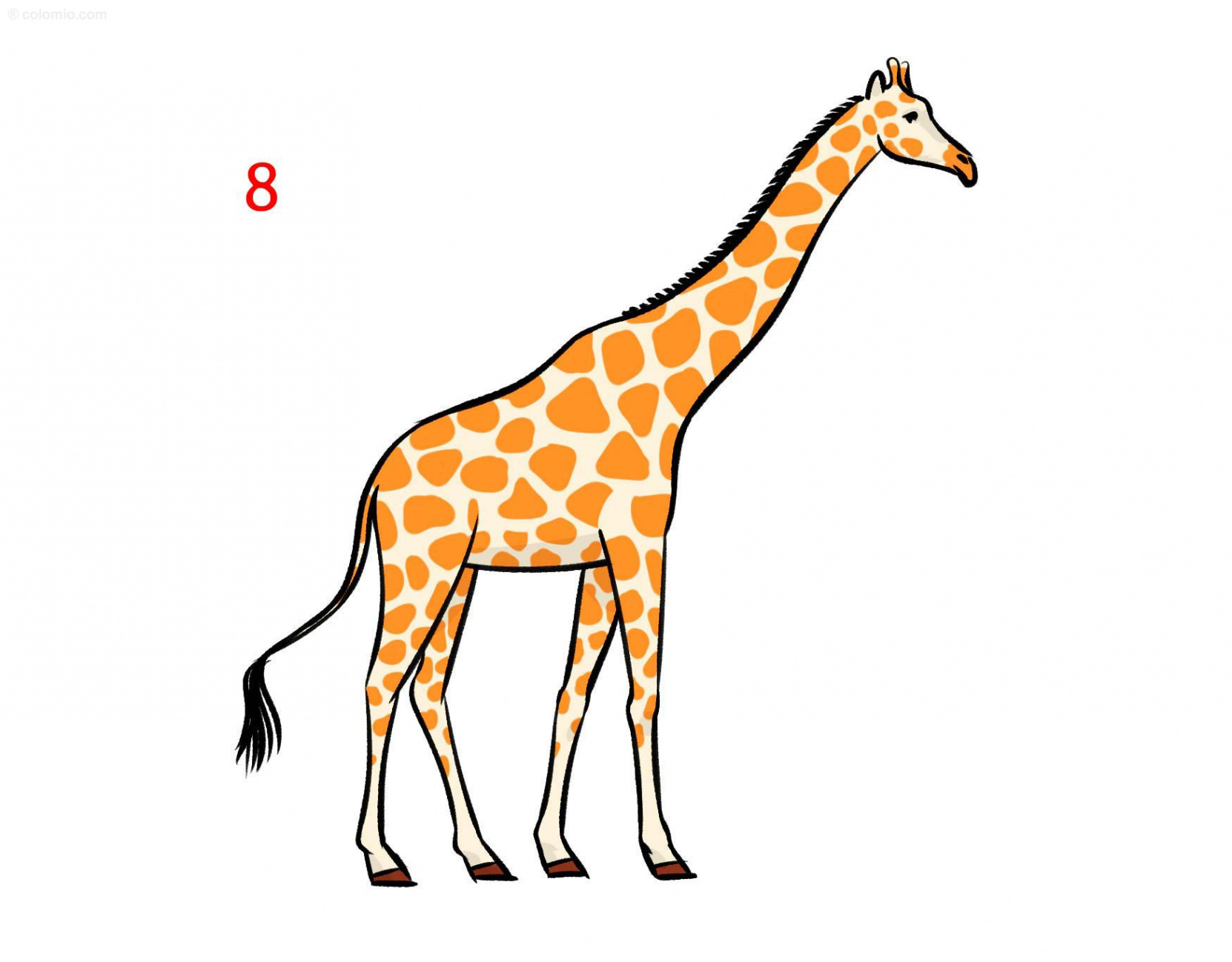 Giraffe Drawing Ideas ➤ How to draw a Giraffe