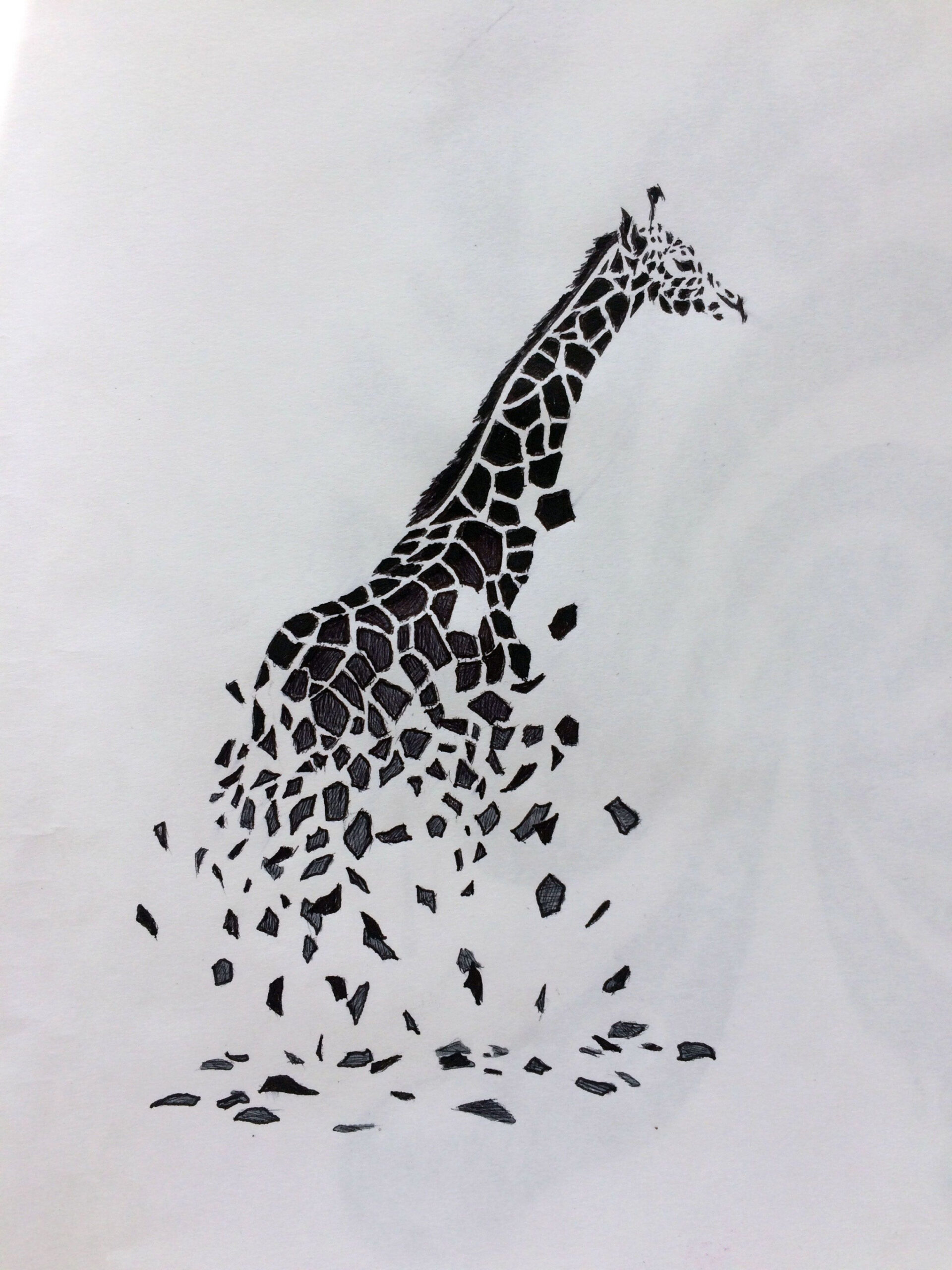 giraffe tattoo drawing  Giraffe tattoos, Tattoo drawings, Giraffe art