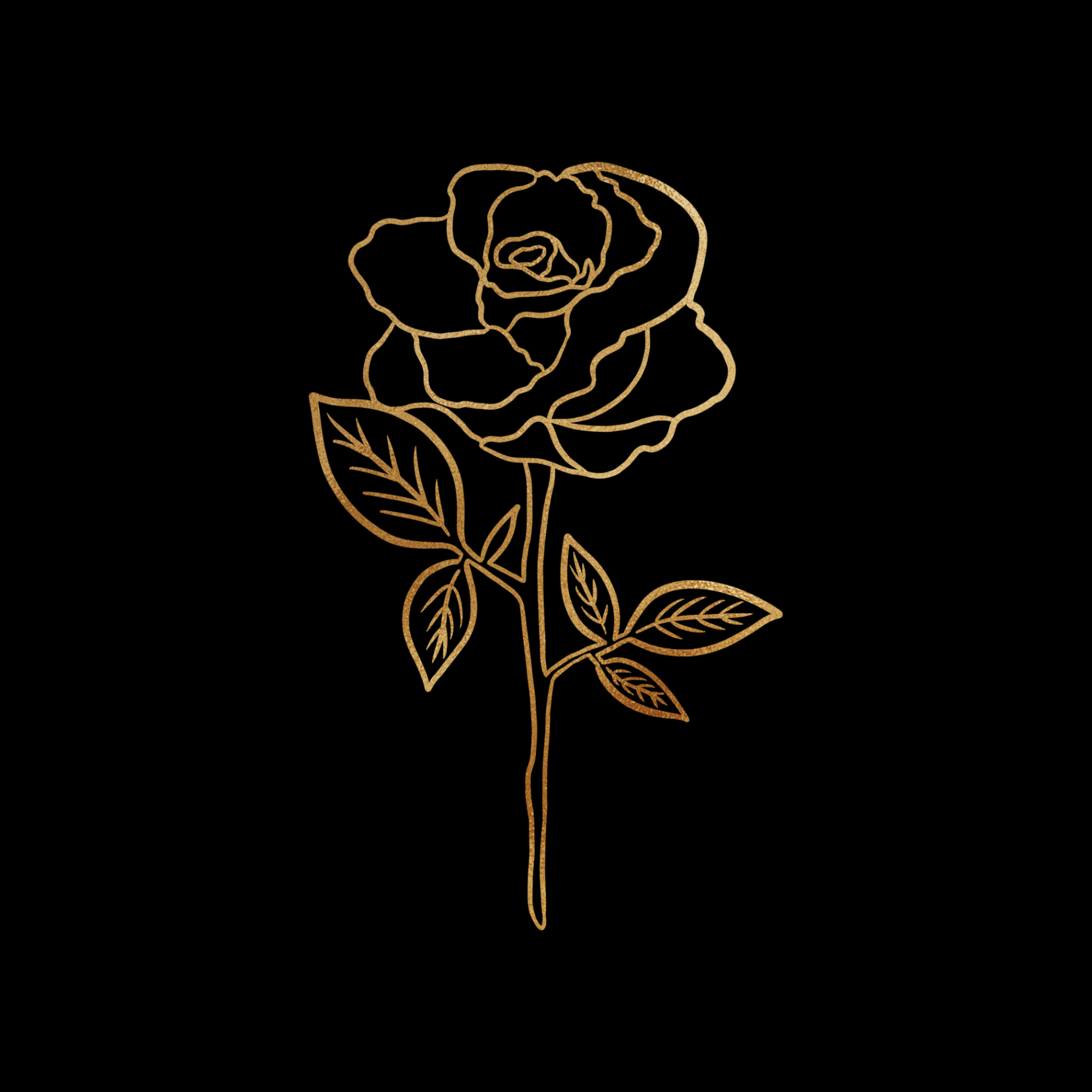 Gold Rose Zeichnung  PNG