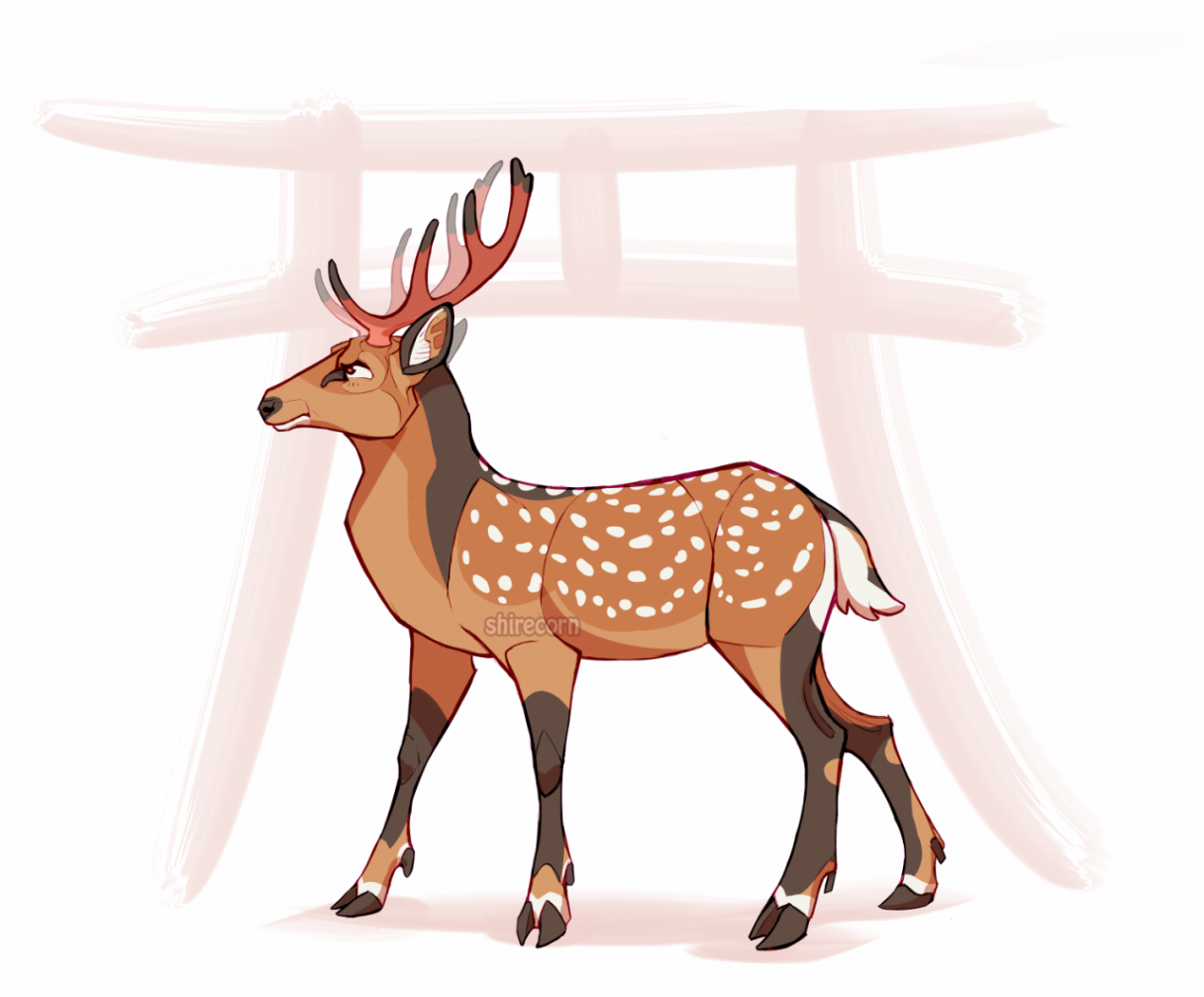 Good drawings of bad horses — The semi-tame sika deer in Nara Park