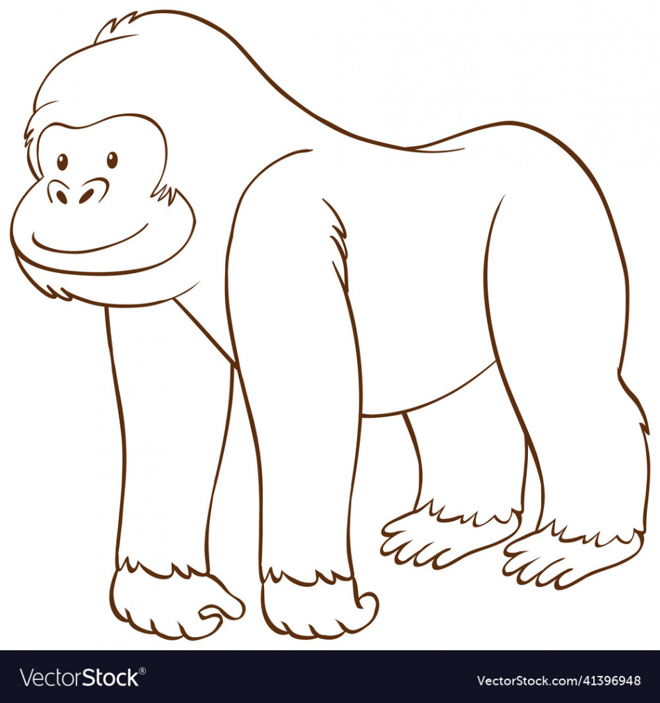 Gorilla in doodle simple style on white background