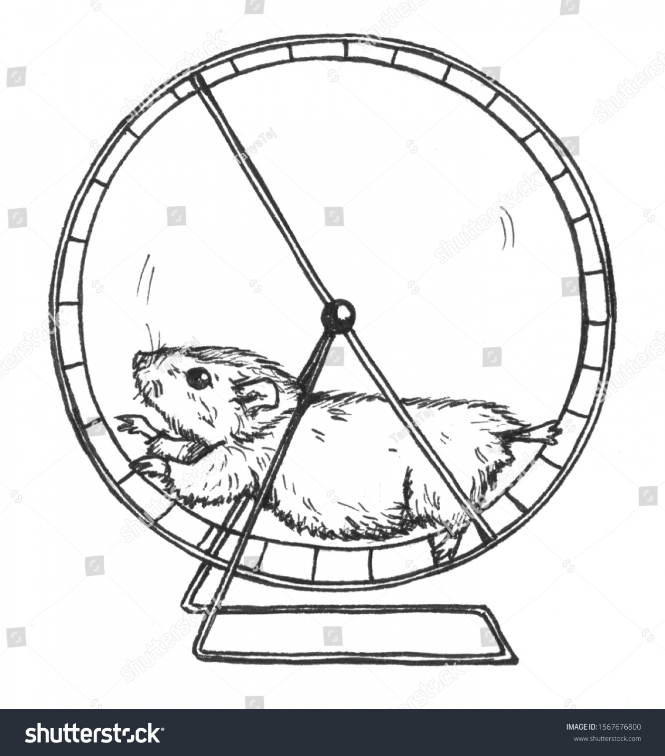 Graphic Drawing Hamster Running Wheel Illustration