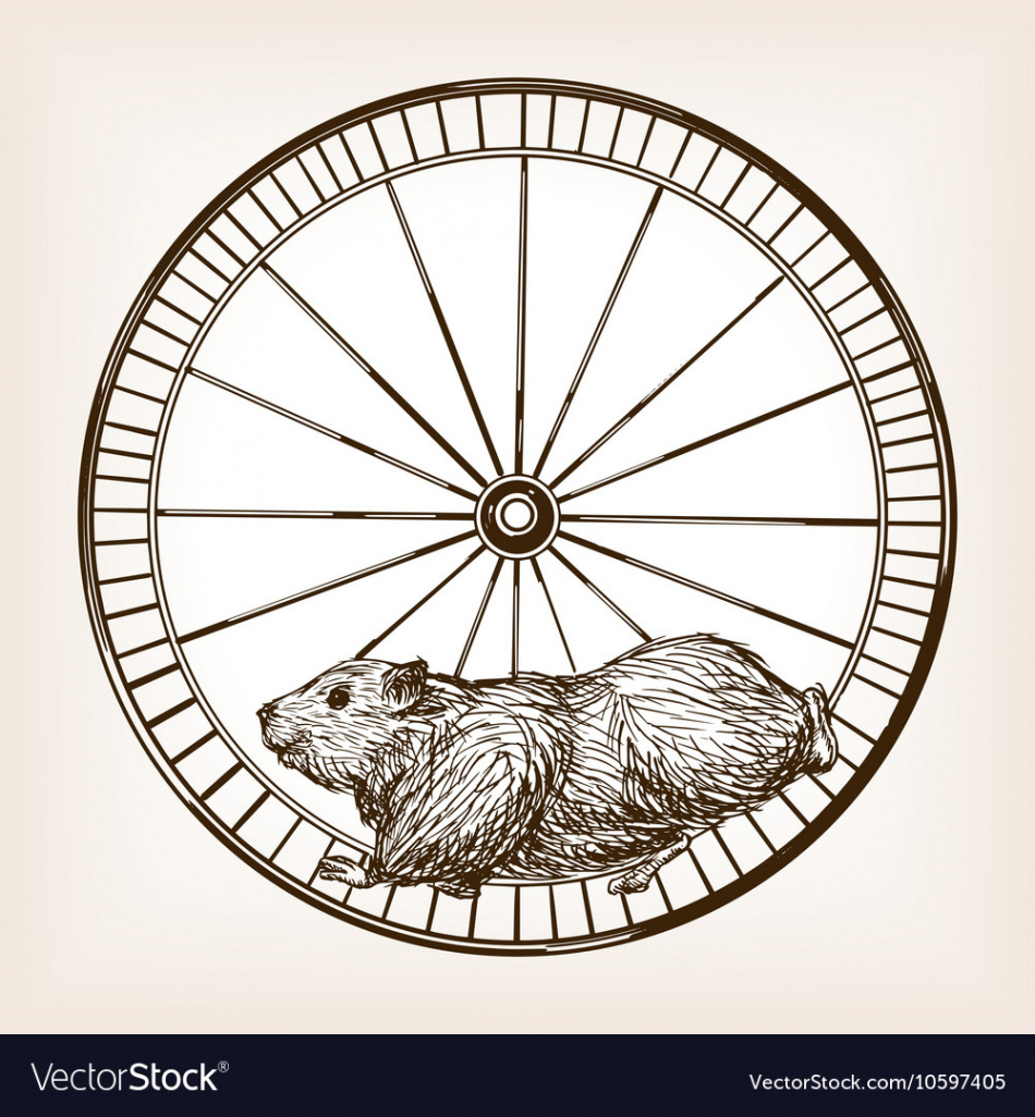 Hamster in a wheel hand drawn sketch Royalty Free Vector