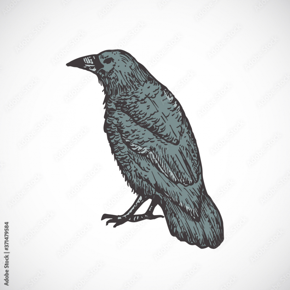 Hand Drawn Colorful Halloween Scary Crow Vector Illustration