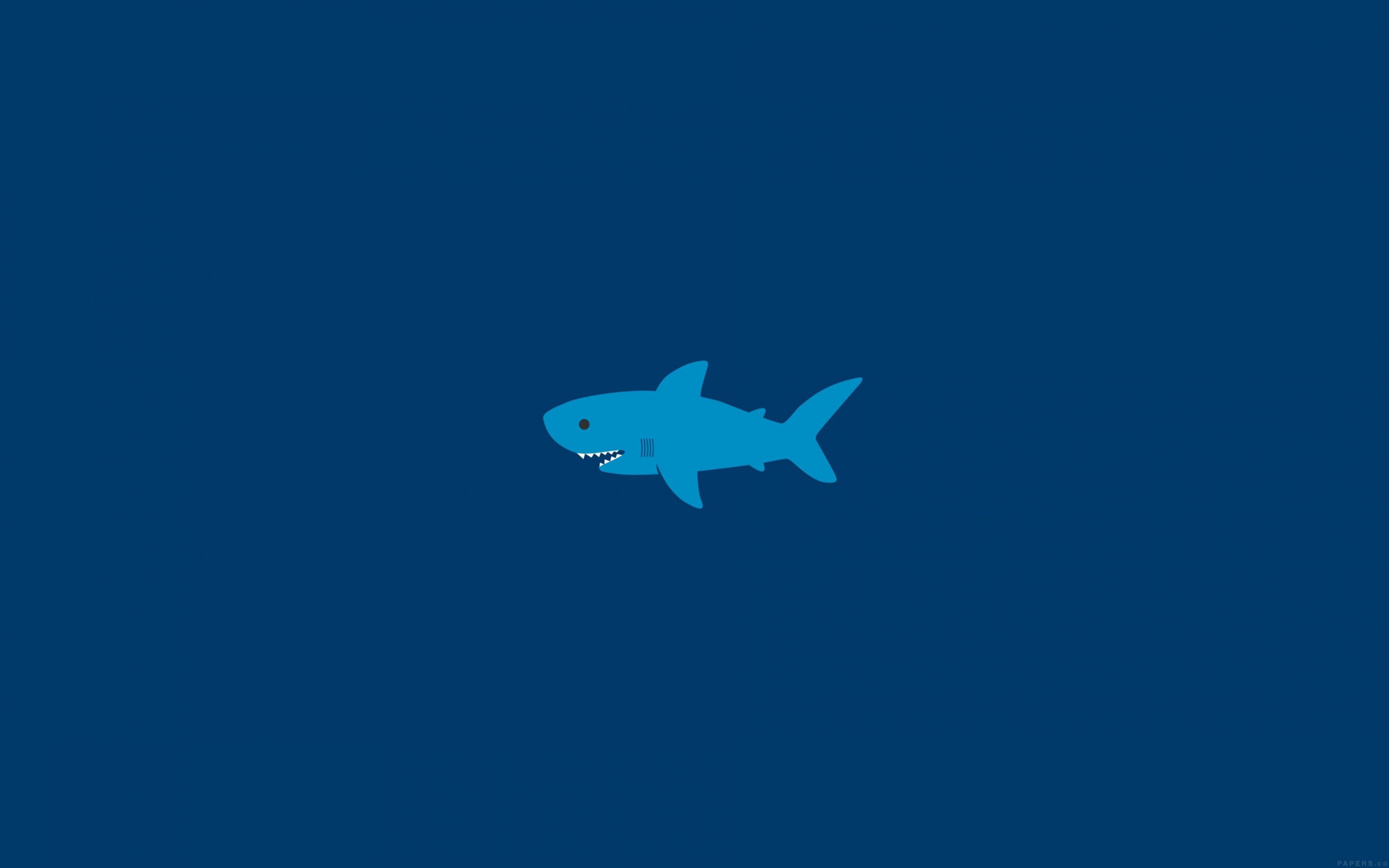 HD wallpaper: little, small, cute, shark, minimal, blue, copy