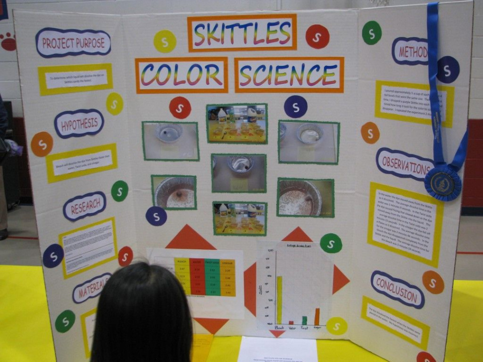 How to Do a Great Elementary Science Fair Project and Board Layout