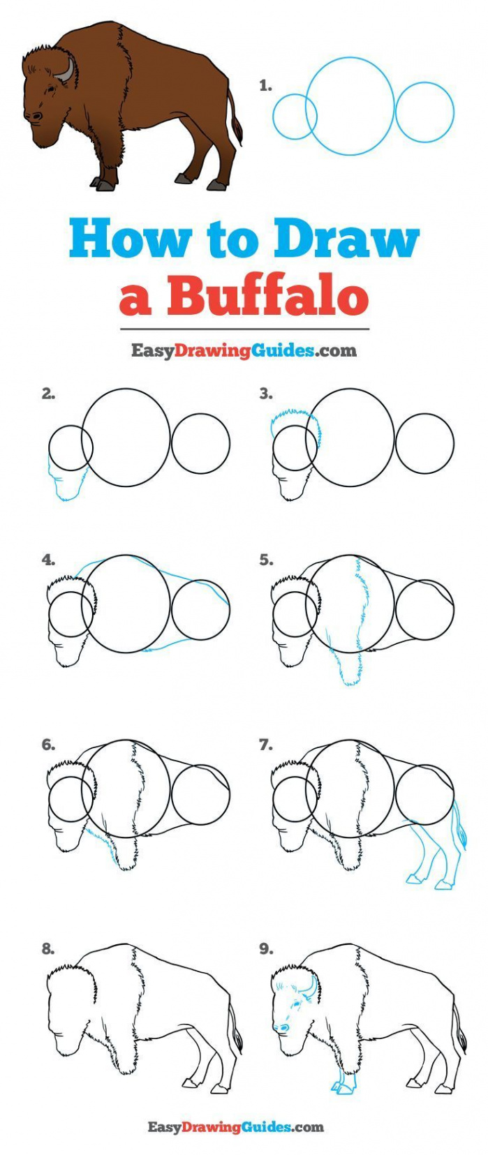 How to Draw a Buffalo - Really Easy Drawing Tutorial  Drawing