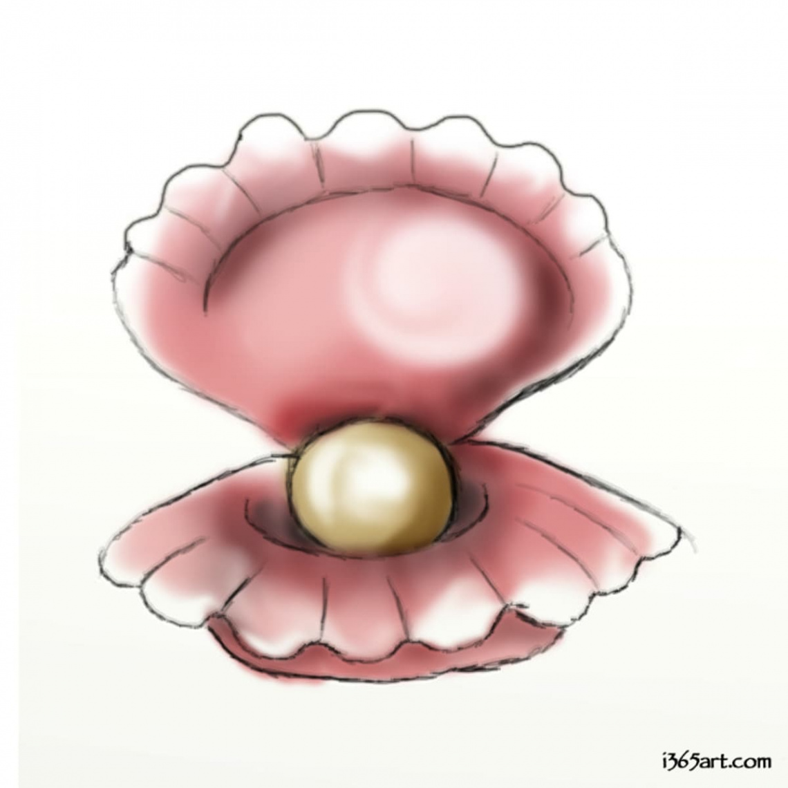 How to Draw a Clam: A Step-by-Step Guide - FeltMagnet