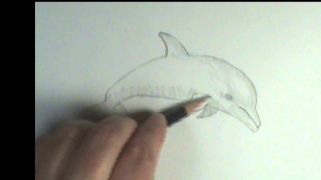 How to draw a Dolphin - YouTube