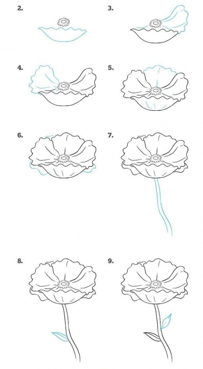 how-to-draw-a-flower-step-by-step-drawing-diy-tutorial-white