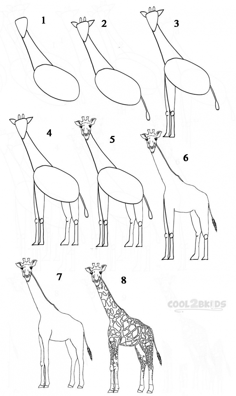 how to draw a giraffe - Google Search  Giraffe drawing, Drawing