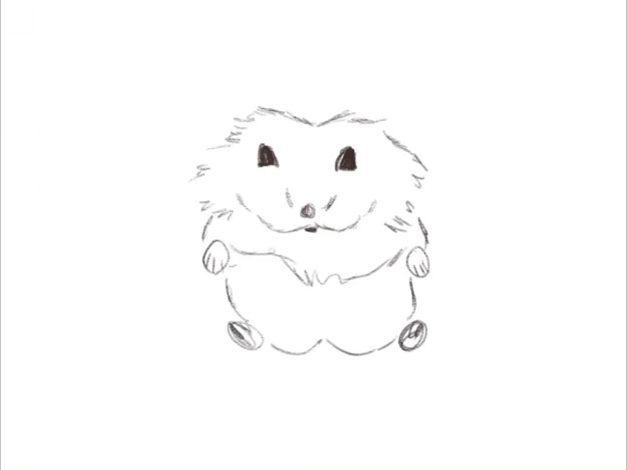 How To Draw a Hamster! — Hamster Society (Singapore)