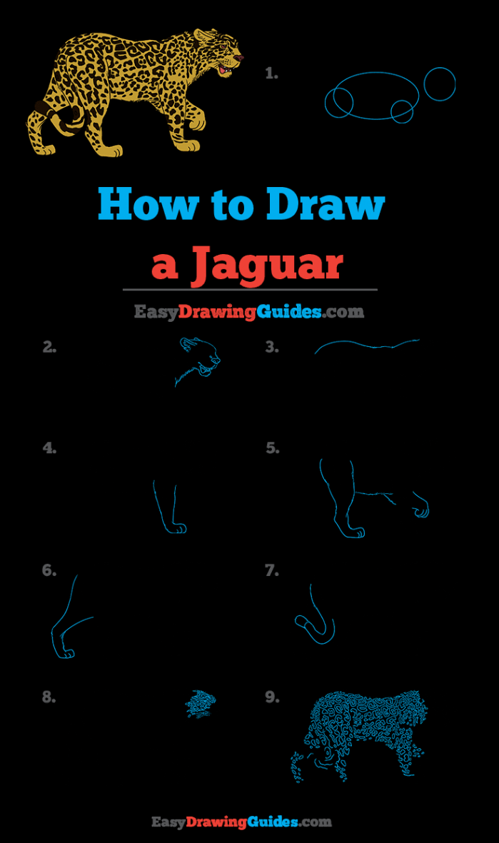 How to Draw a Jaguar - Really Easy Drawing Tutorial  Drawing