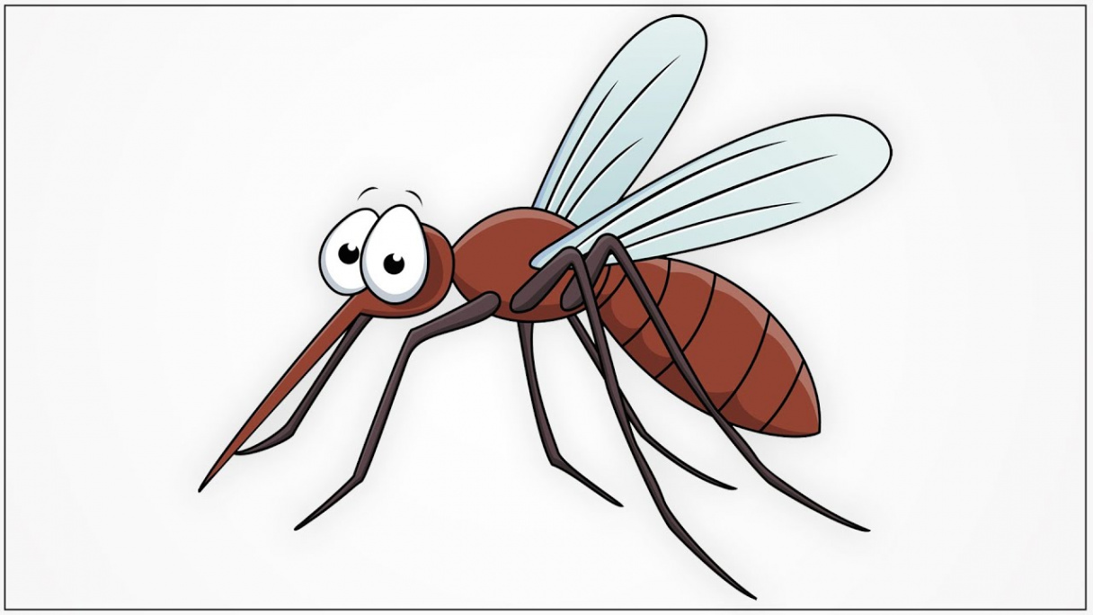 How to draw a mosquito cartoon step by step