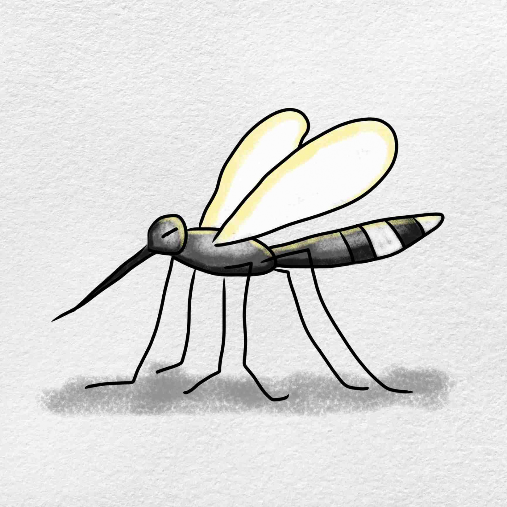 How to Draw a Mosquito - HelloArtsy