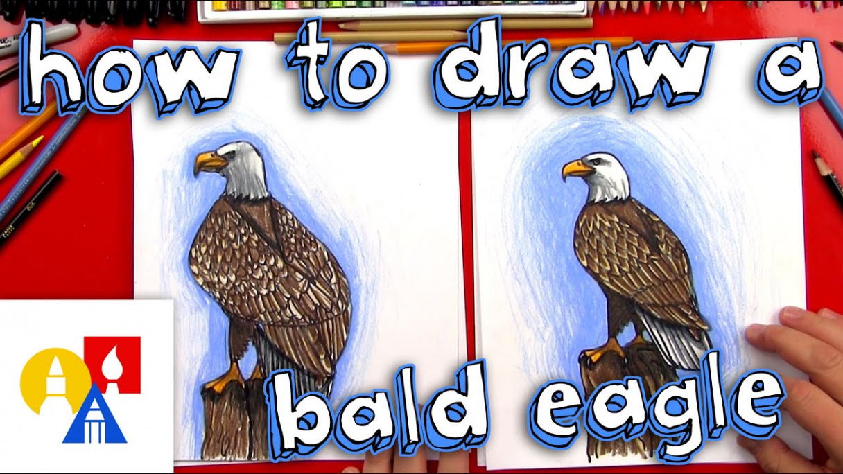 How To Draw A Realistic Bald Eagle