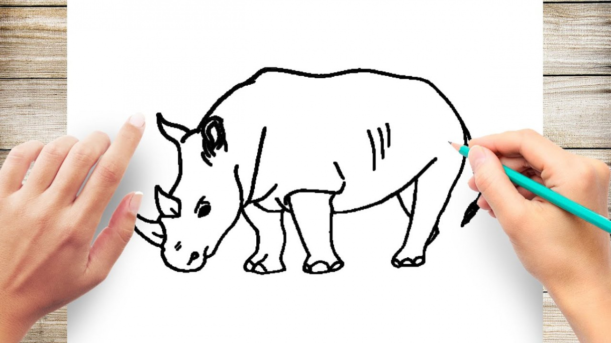 How to Draw a Rhino Step by Step for Kids