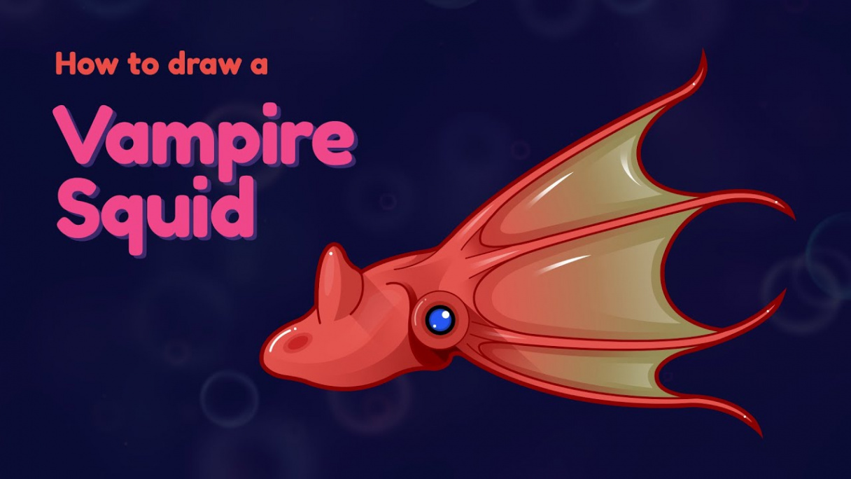 How to draw a sea animal - Vampire Squid? Easy and simple drawing  Animal  character design tutorial