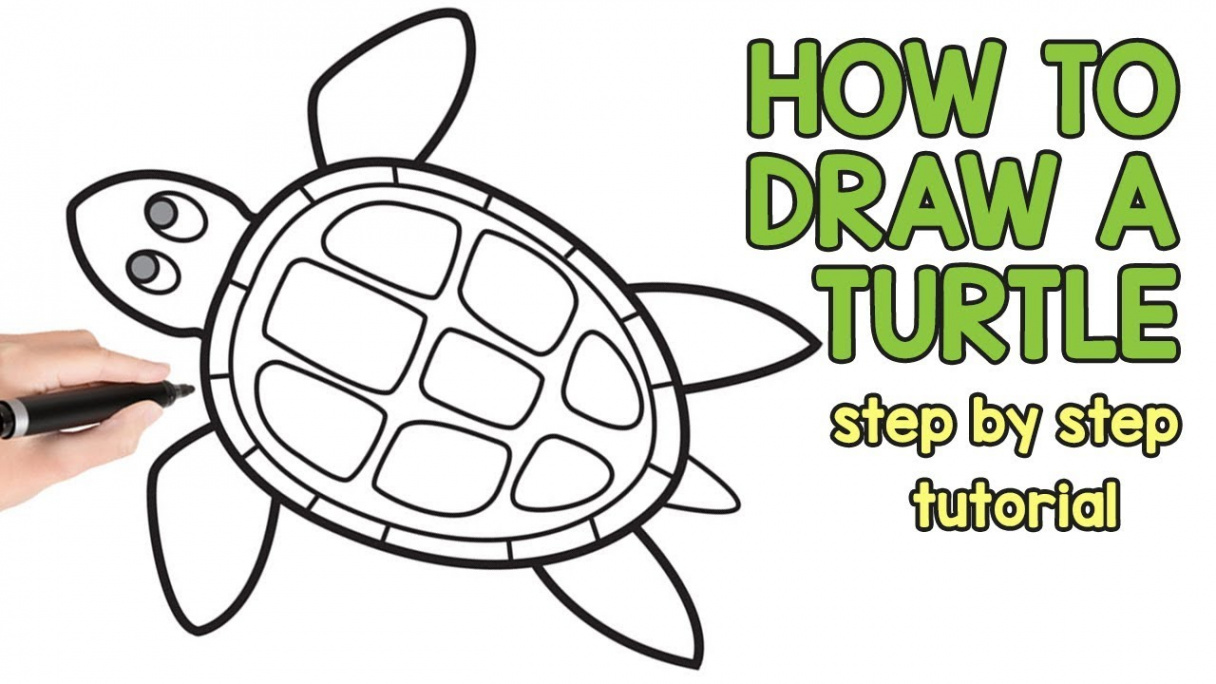 How to Draw a Turtle - Step by Step Drawing Tutorial