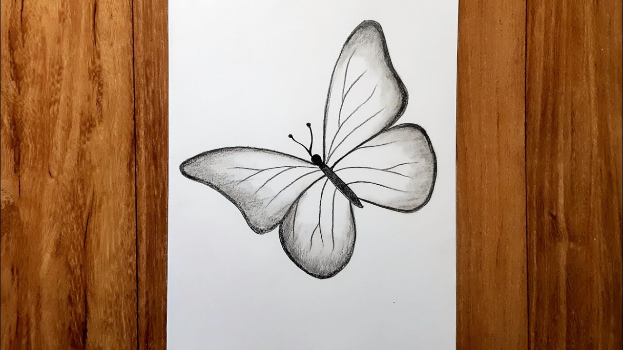 How to draw beautiful butterfly  Pencil sketch for beginners  Karabi arts  academy