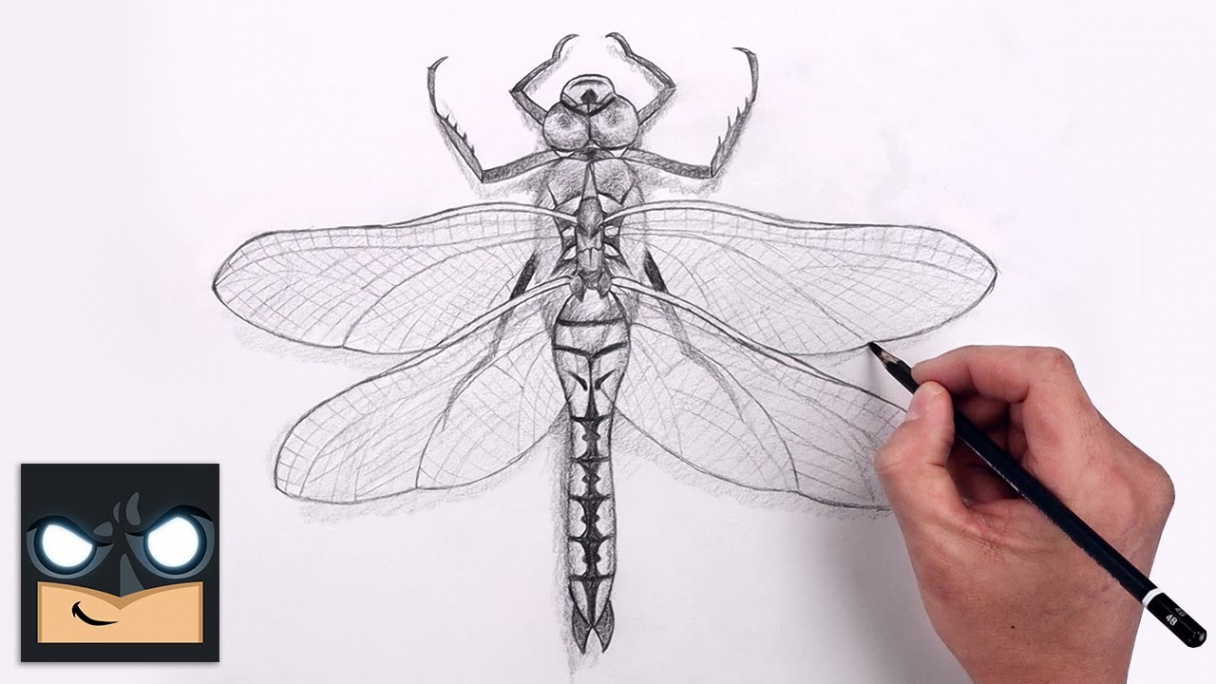 How To Draw Dragonfly  Beginners Sketch Art Lesson (Step by Step)