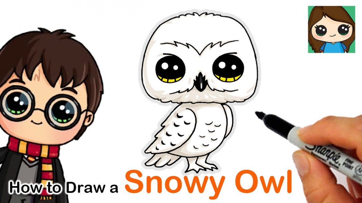 How to Draw Snowy Owl Hedwig  Harry Potter