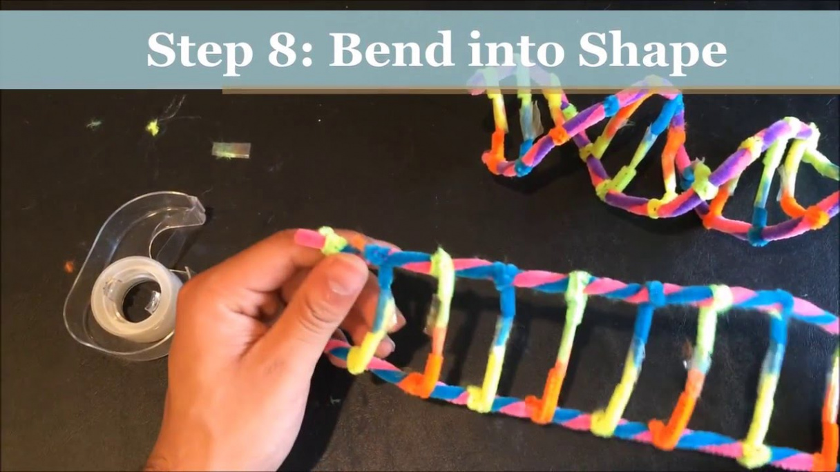 HOW TO MAKE A DNA MODEL USING PIPECLEANERS