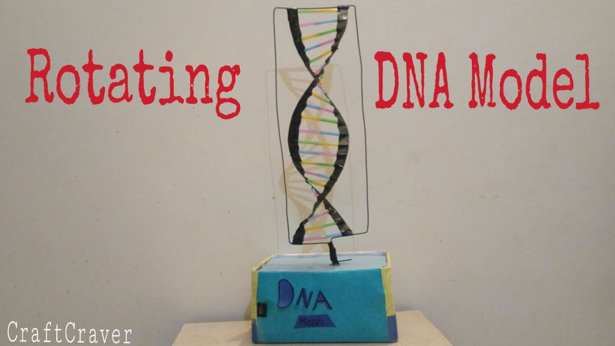 How to make a Rotating DNA Model  DIY  Straw  CraftCraver