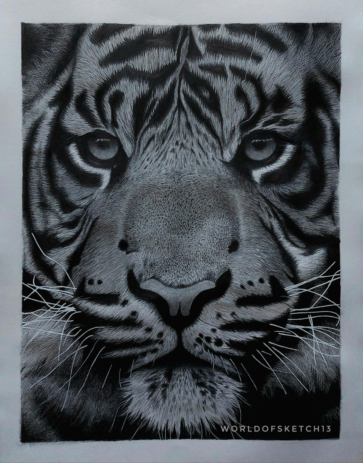 Hyper-Realistic Tiger Sketch! by AnandDhoot on DeviantArt