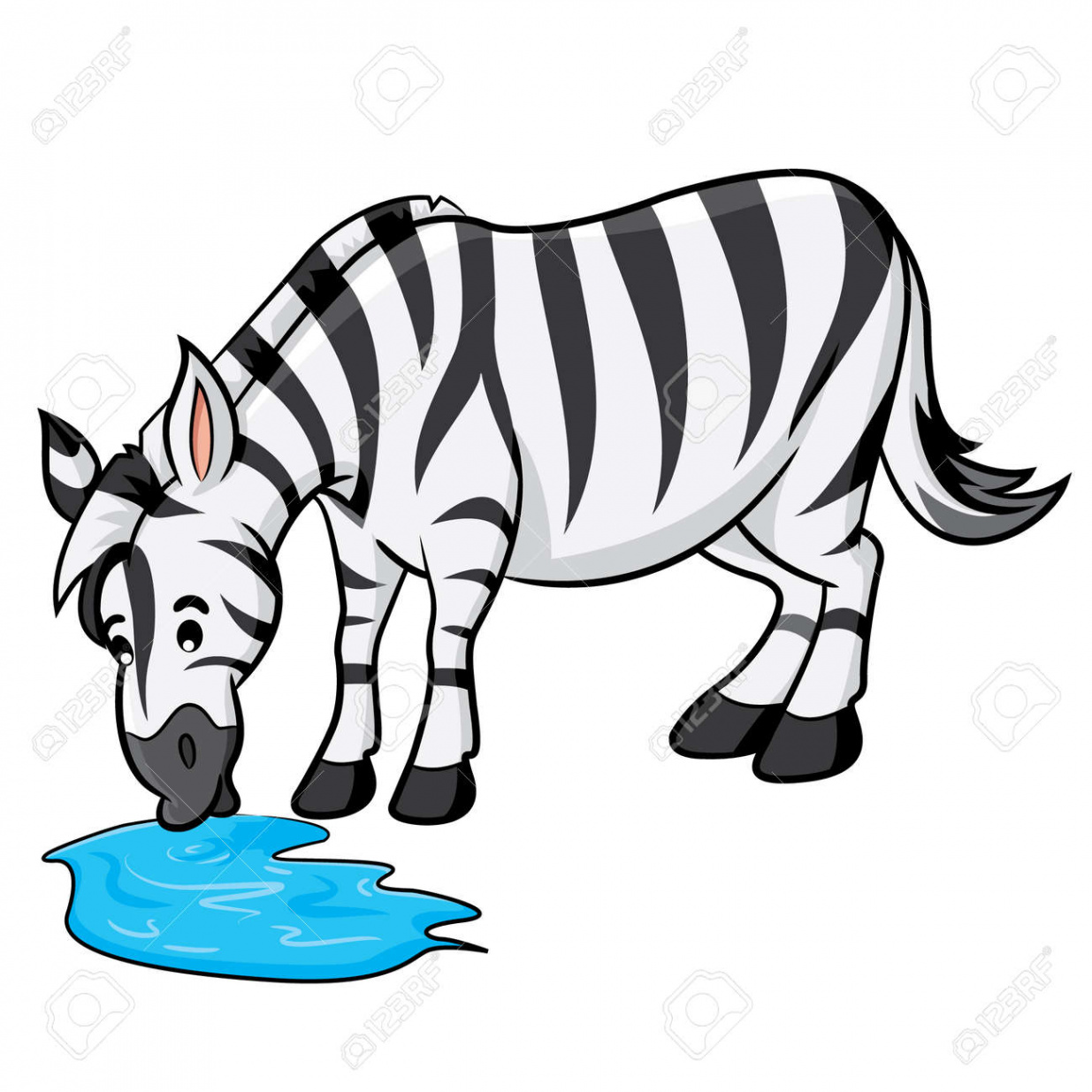 Illustration Of Cute Cartoon Zebra Drinking Of Water Royalty Free