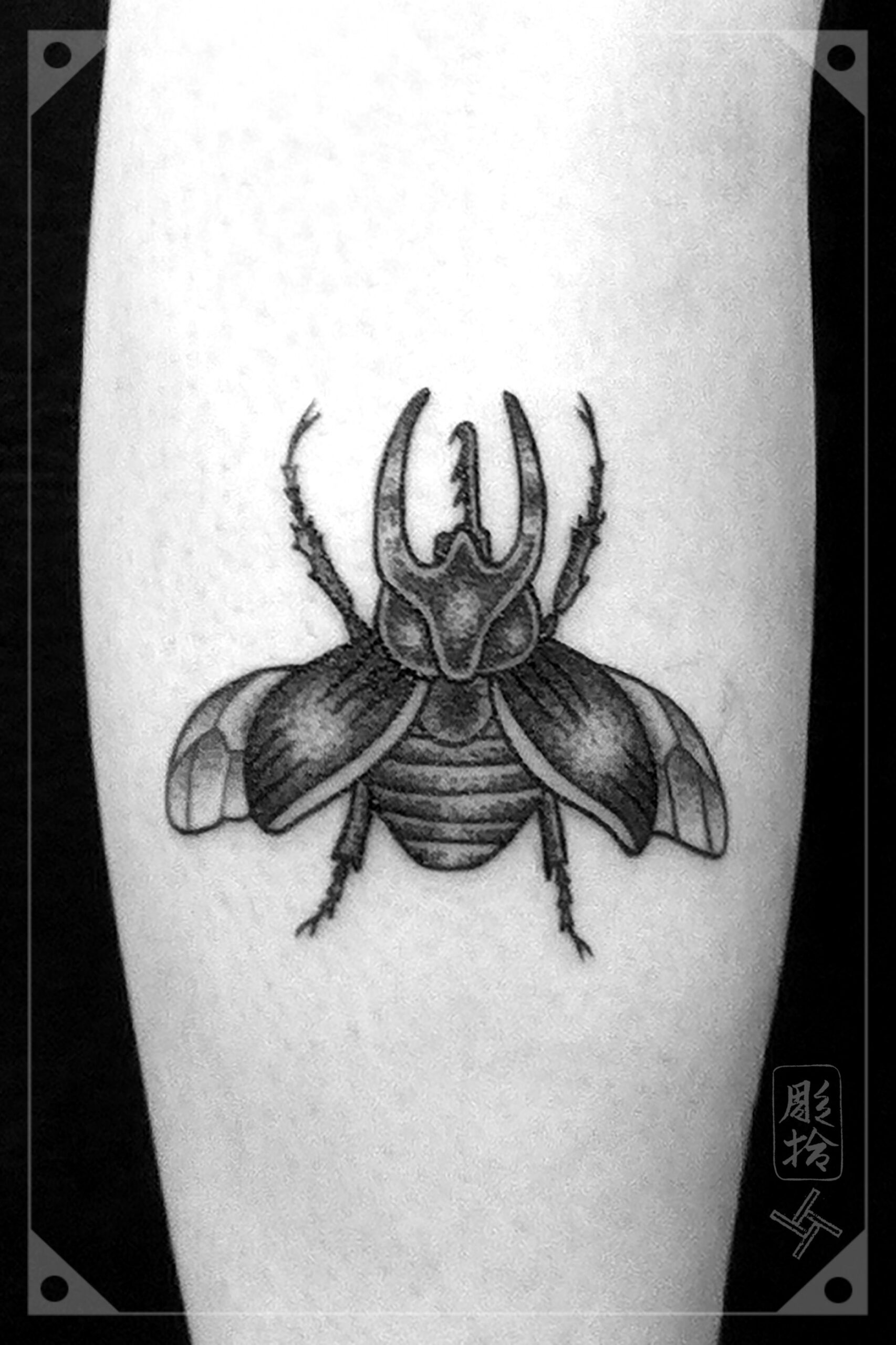 Insect Rhinoceros Tattoo Dotwork Blackwork  Beetle tattoo, Insect