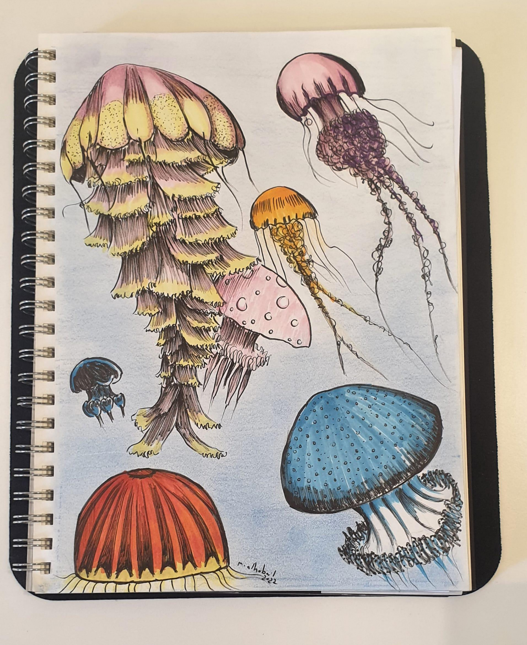 Jellyfish : r/drawing