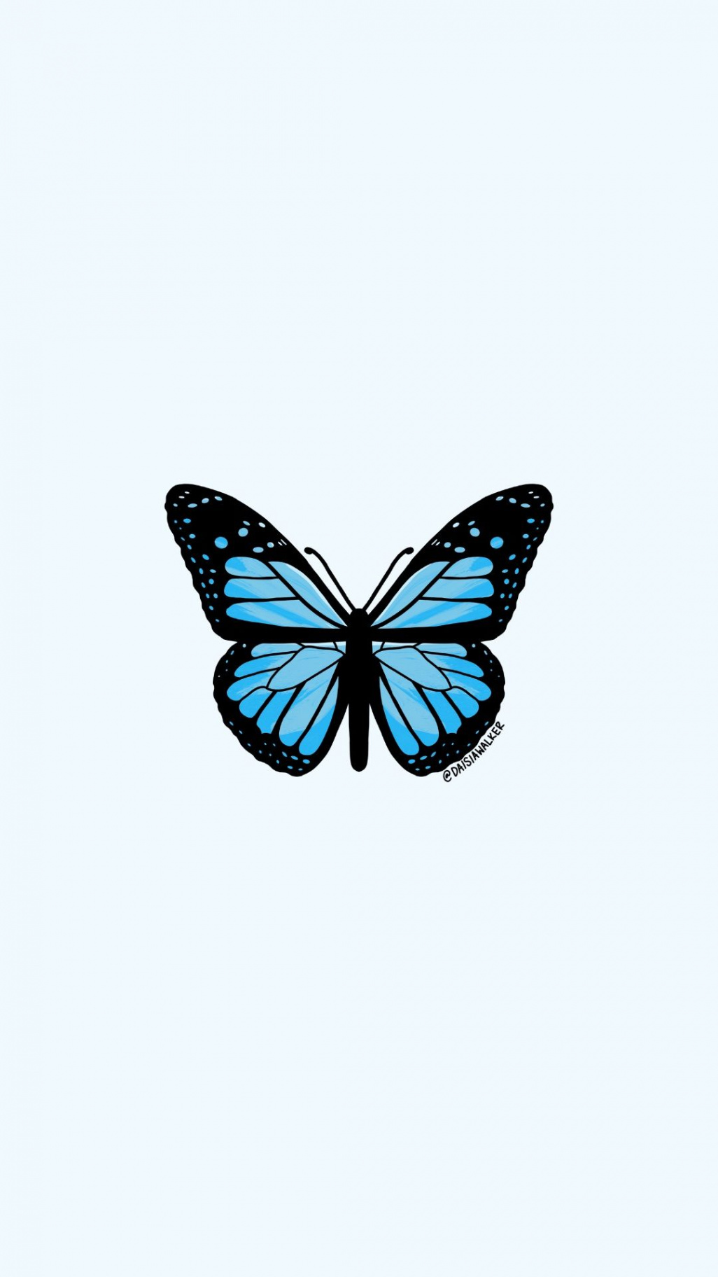 Light Blue Butterfly  Blue butterfly wallpaper, Butterfly