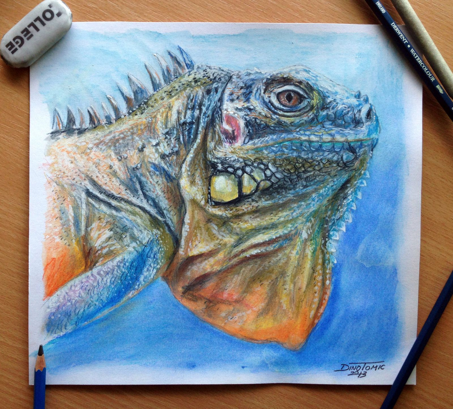 Lizard Color pencil Drawing by AtomiccircuS.deviantart