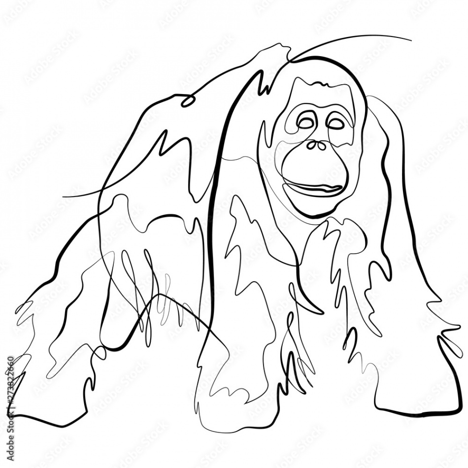 Monkey Orangutan one line drawing