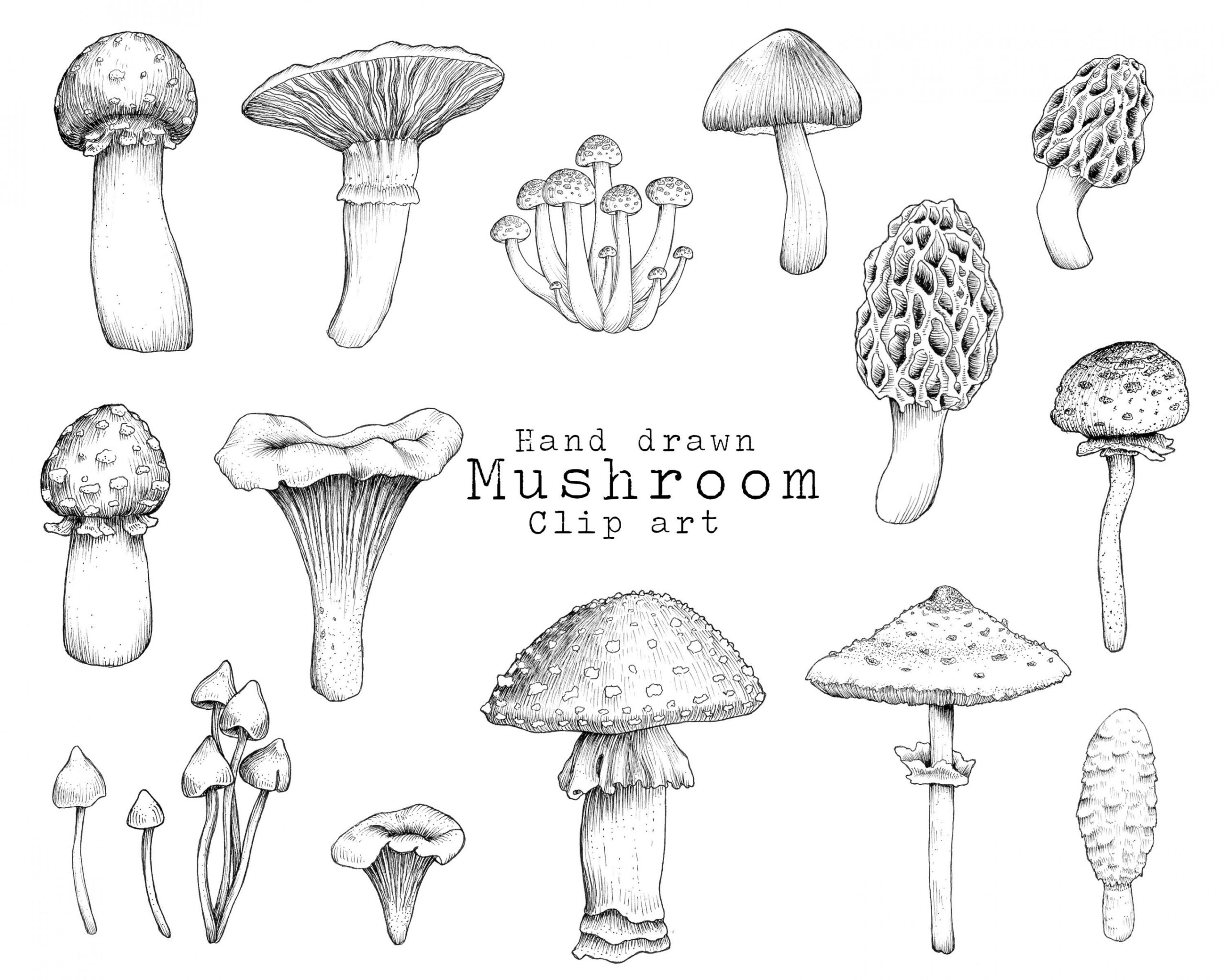 Mushroom Clip Art, Black and White Mushroom Clip Art, Mushroom PNG