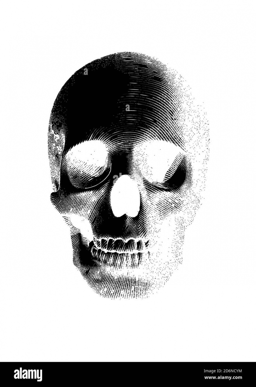 Negative engraving skull vector illustration in front view on