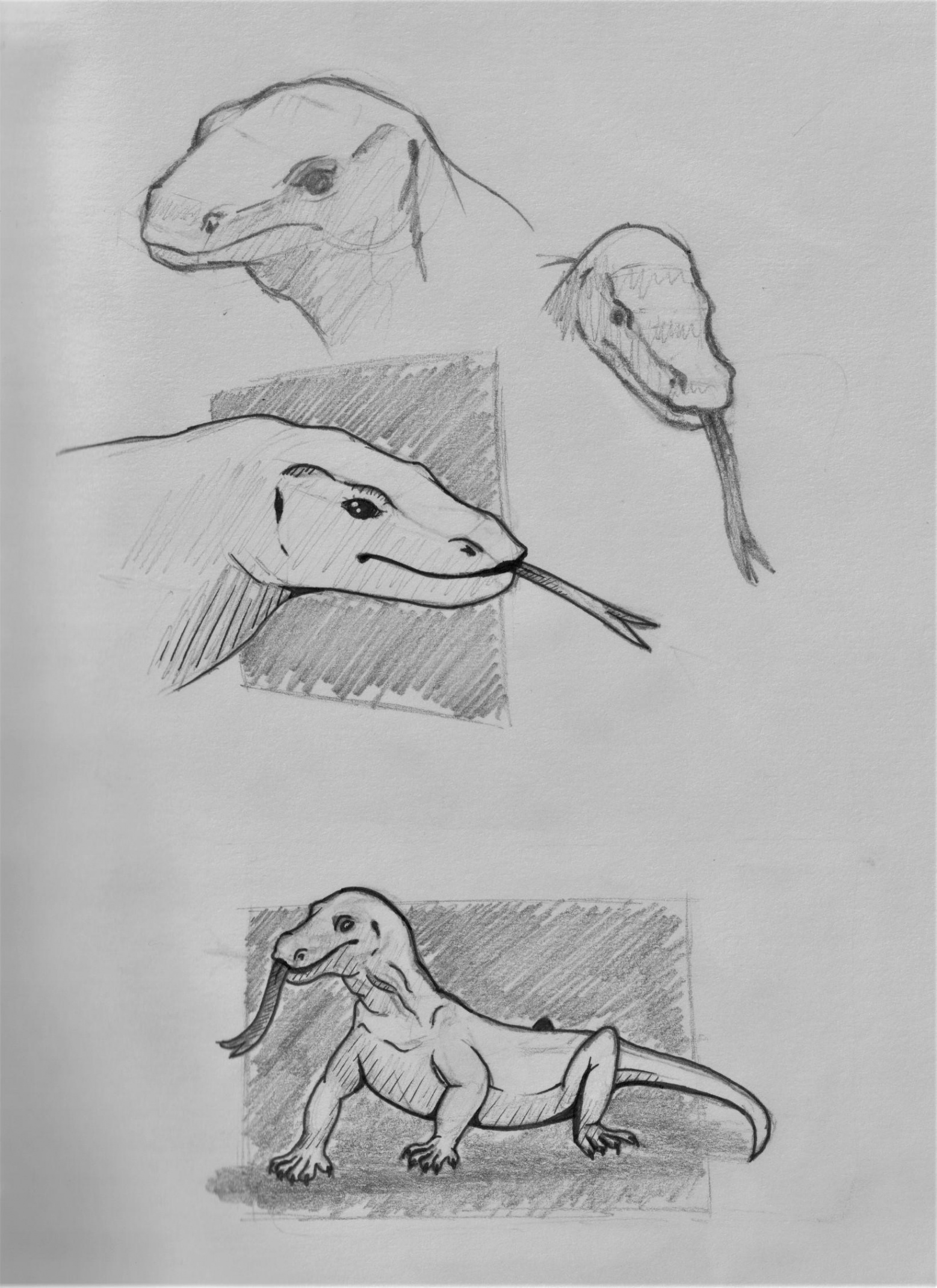 OC] Monitor Lizard Sketches : r/drawing