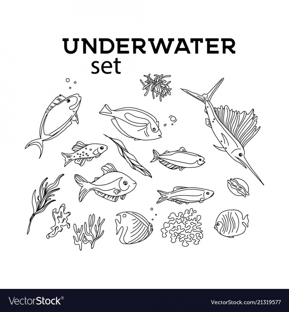 Ocean animals underwater sketch monochrome fish Vector Image