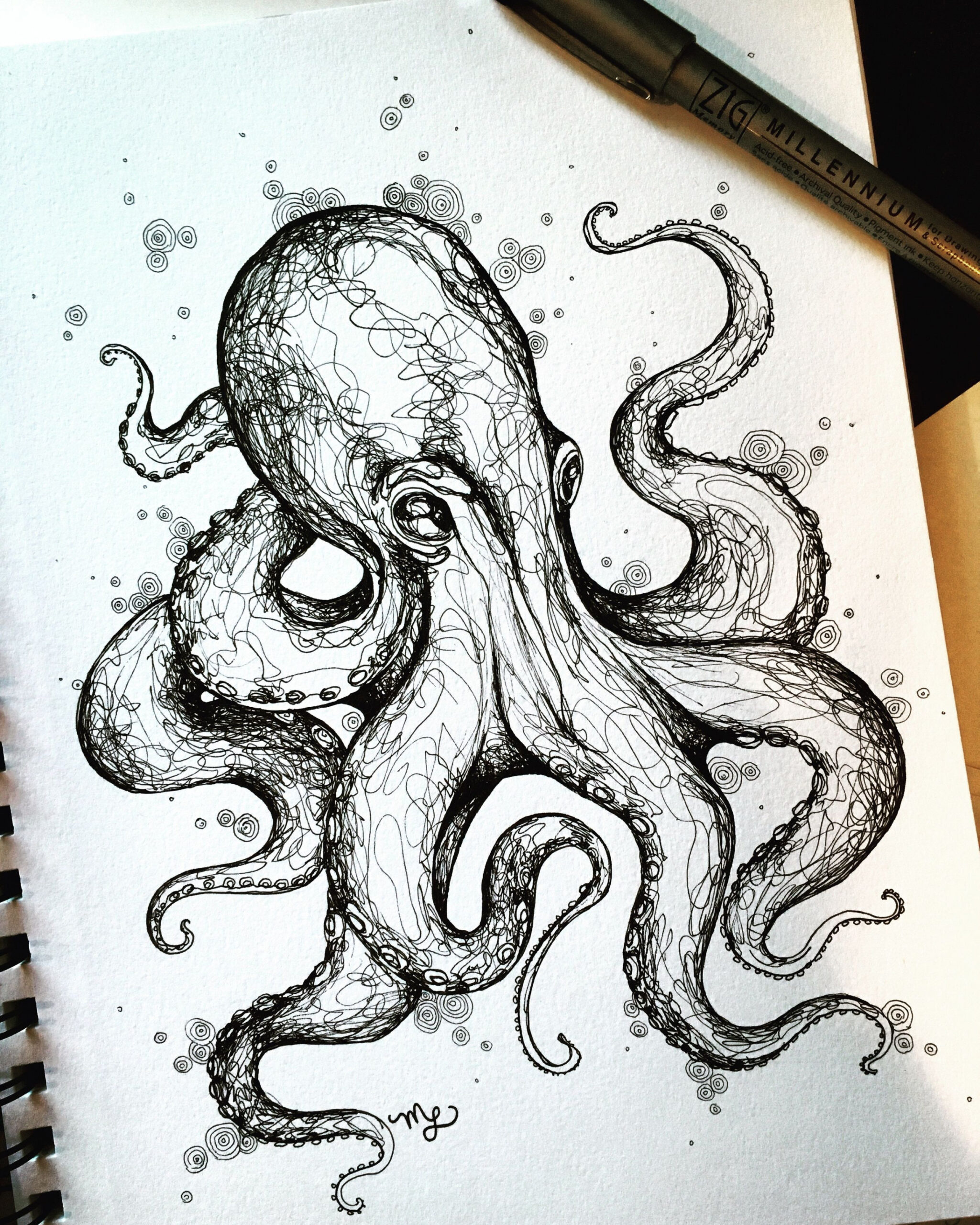 Octopus Sketch on Behance  Octopus sketch, Octopus drawing