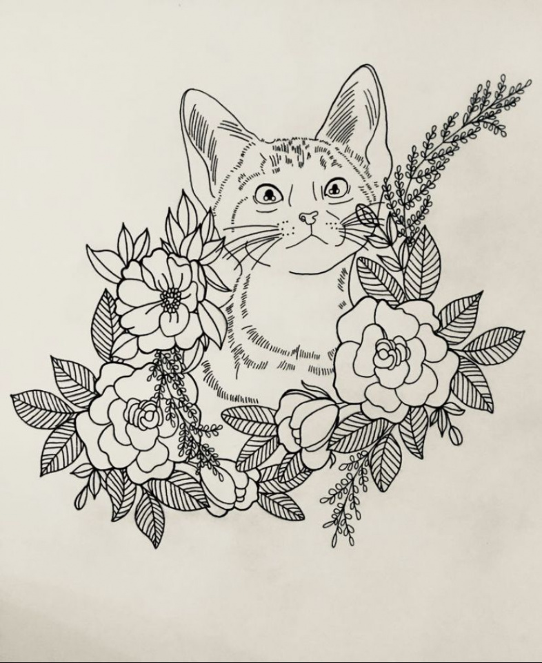 Original animal sketch of a cat by Olive Cat Collective  Cat