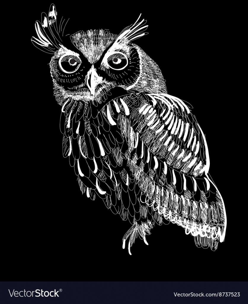 Owl hand-drawing on a black background Royalty Free Vector