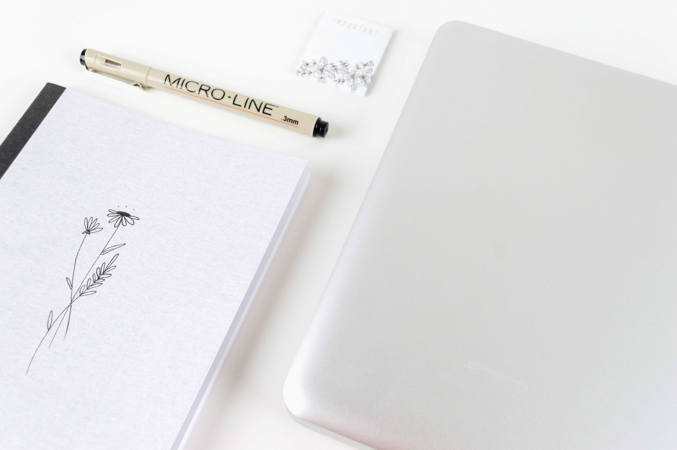 Pencil, Pen and Paper: Basic resources to start drawing — Fox Bear