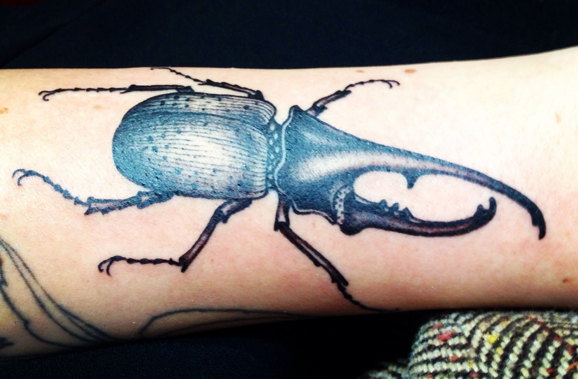 Pin by Jenn on Tattoos: B&W  Beetle tattoo, Insect tattoo, Rhino