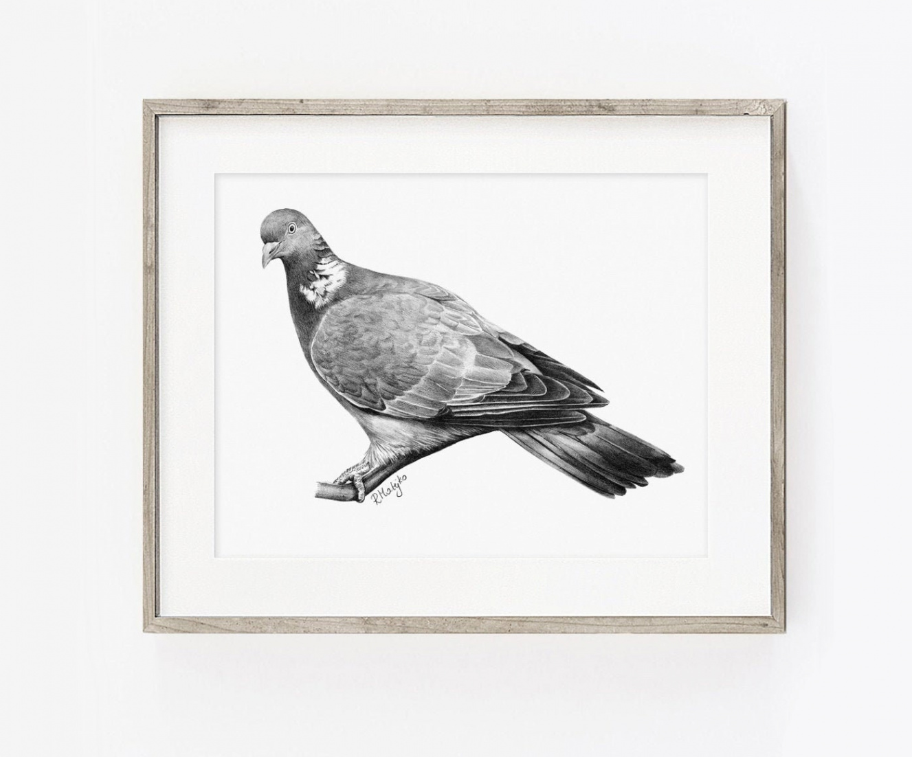 PRINTABLE Wood Pigeon Art Print, Wood Pigeon Pencil Drawing Wall