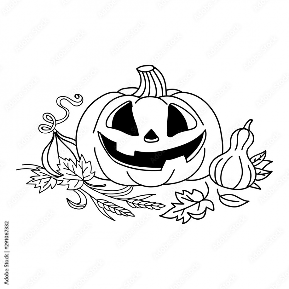 Pumpkin vector drawing. Isolated outline pumpkin halloween