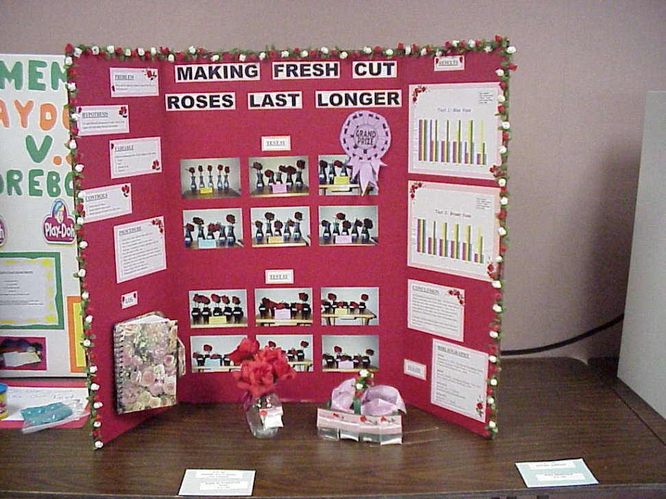 rd Grade Science Projects  Good Science Project Ideas  Science