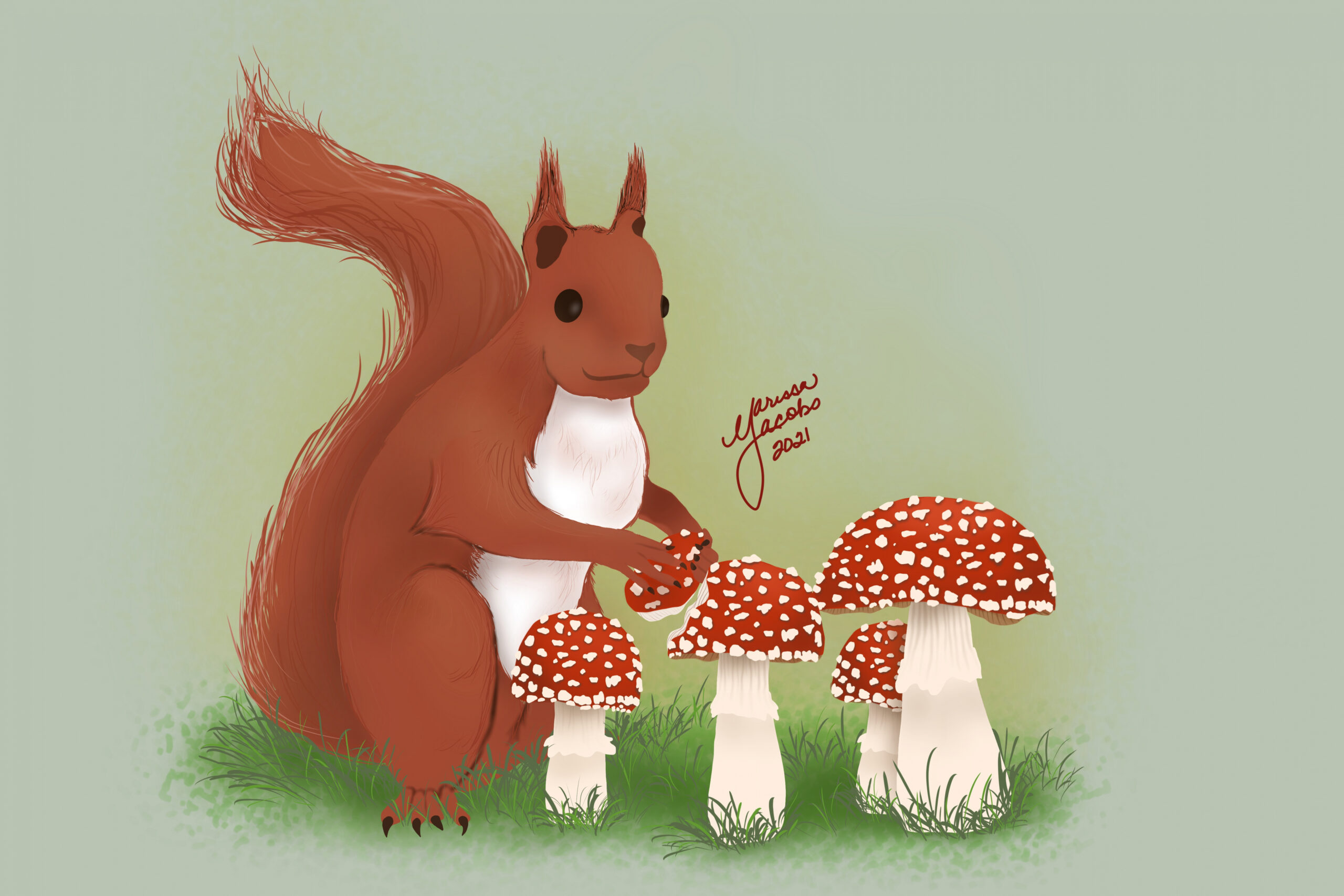 Red Squirrel and Mushroom Illustration