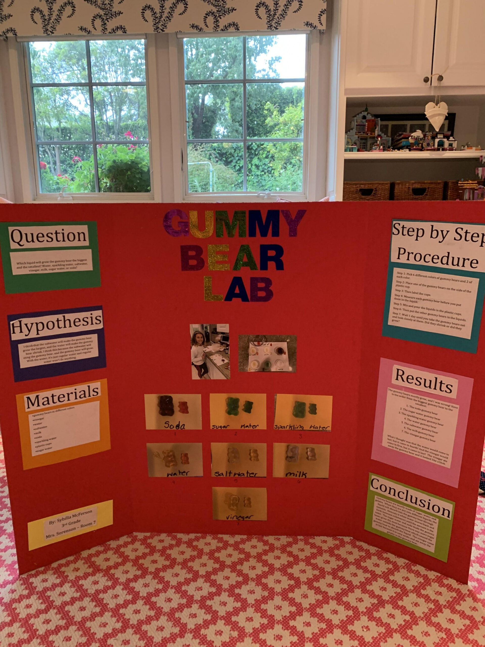 Science Fair Projects – Heather Sorenson – Mira Catalina Elementary